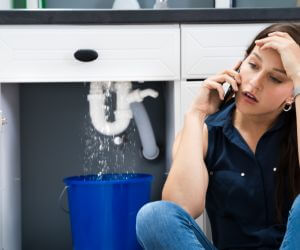 About Plumbers Pros Tornillo, TX